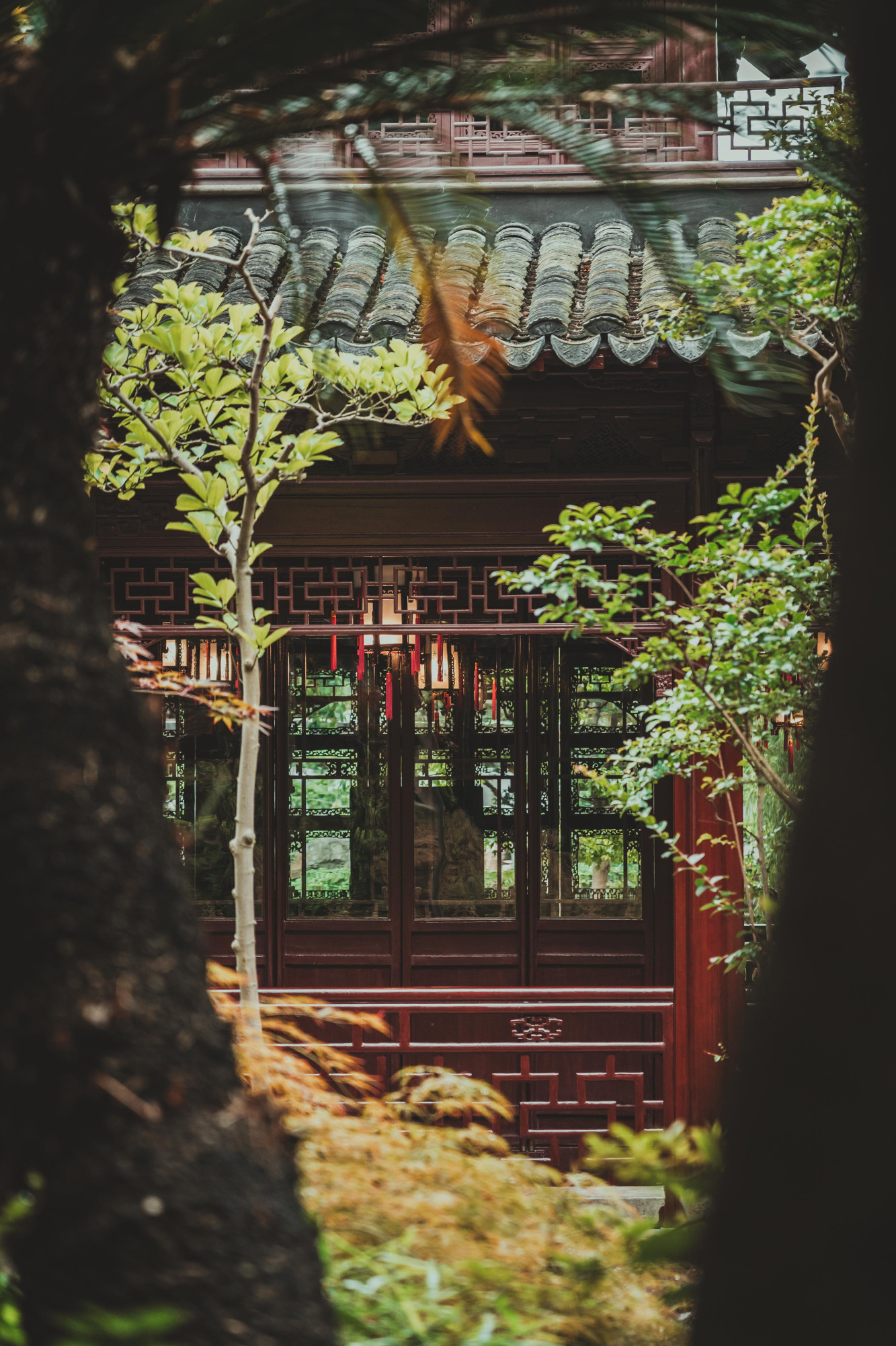 Website